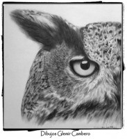 /album/dibujos/a776227643-jpg/